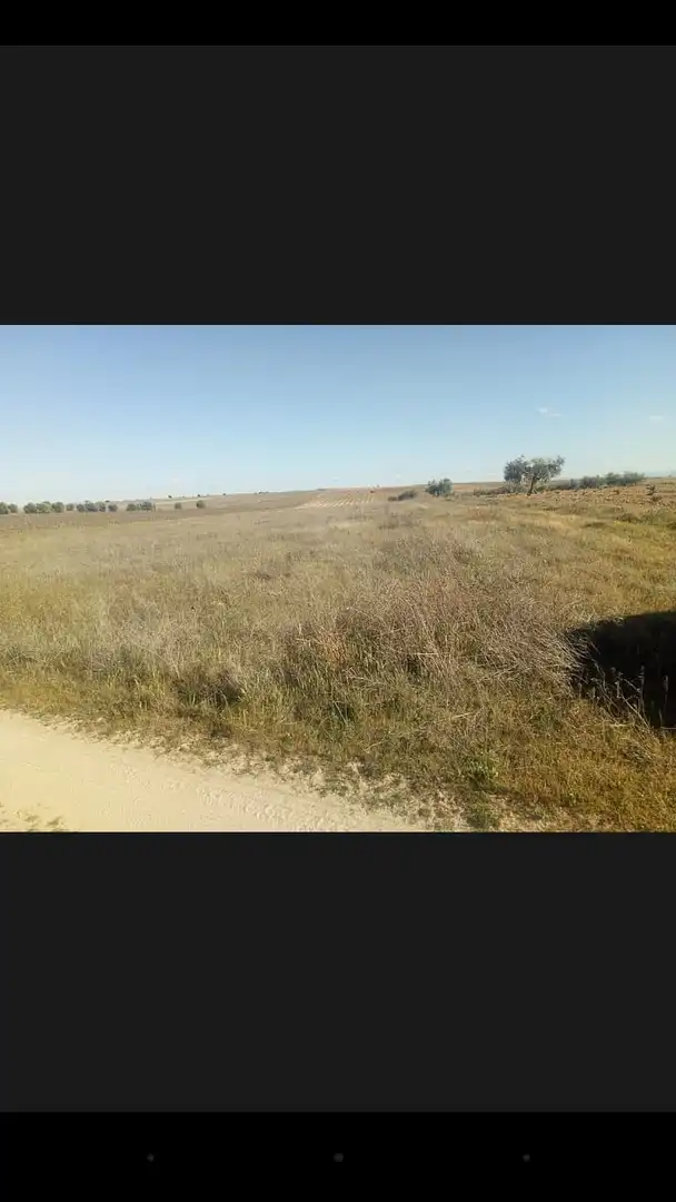 Terrenys i solars en venda a Fuensalida, imagen 3