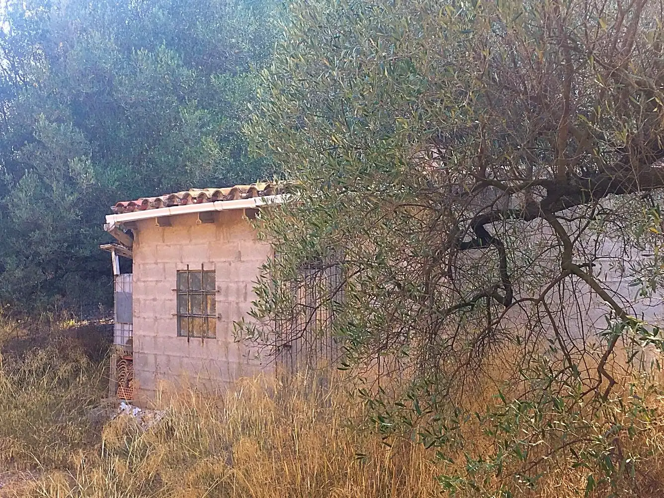 Terreno rústico en venta en Benifallet