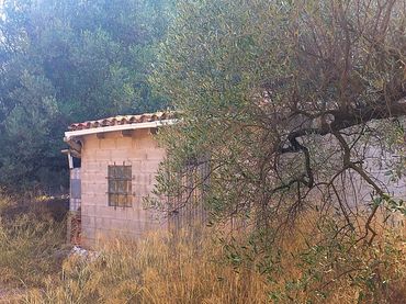 Terreny rústic en venda a Benifallet
