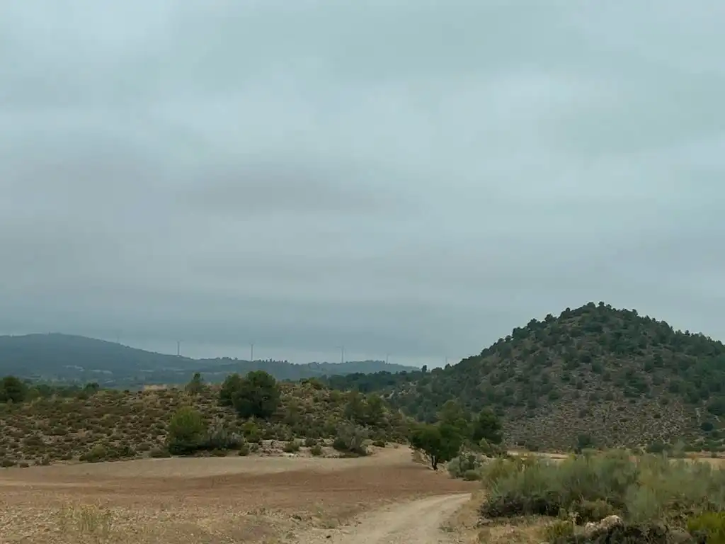Grundstücke zum Verkauf in Peñas de San Pedro
