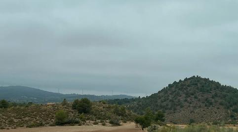 Photo 2 of Land for sale in Peñas de San Pedro, Albacete