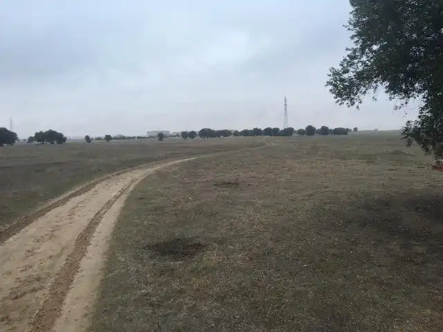 Grundstücke zum Verkauf in Ciempozuelos