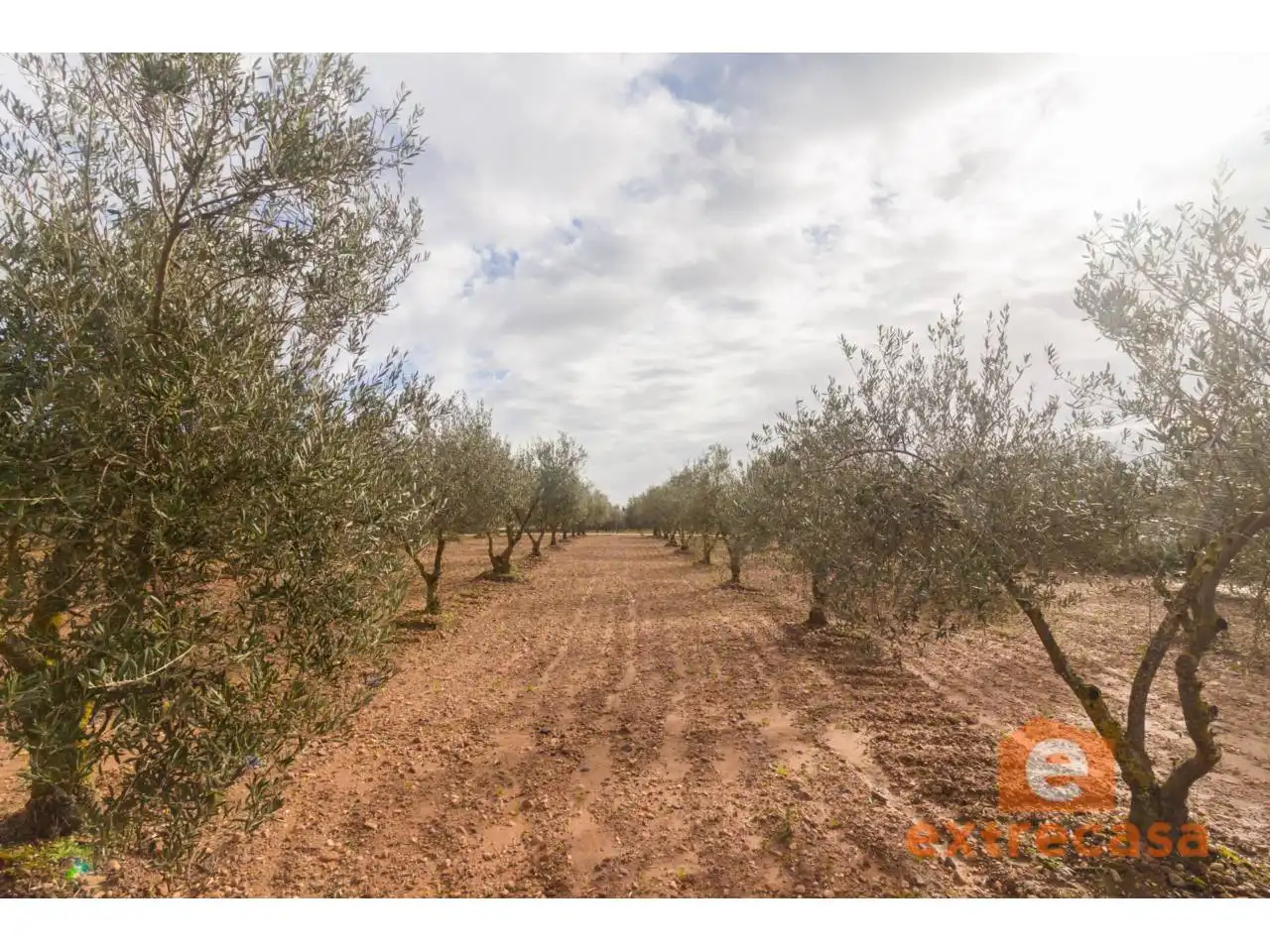 Residencial en venta en Badajoz