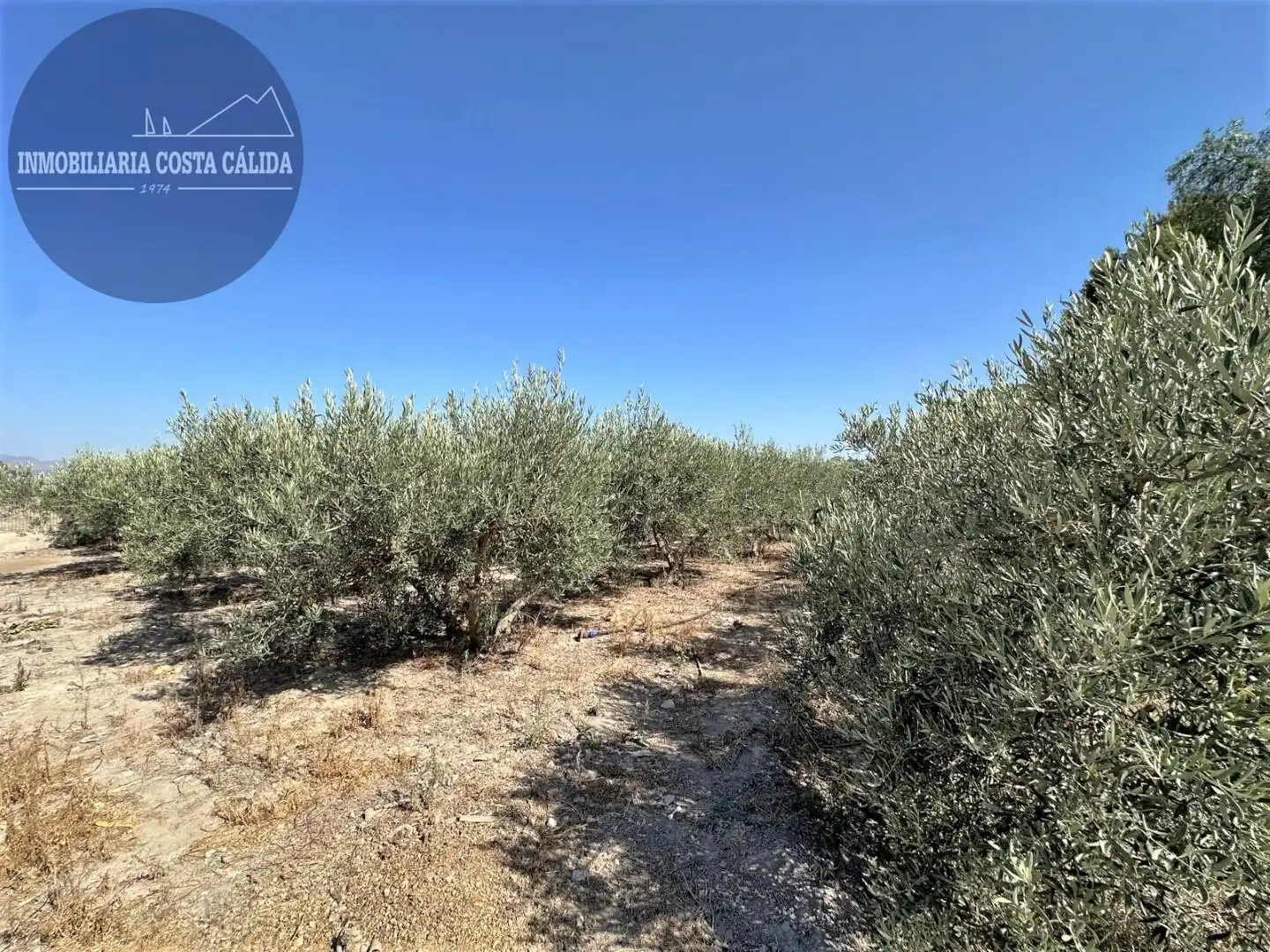 Casa rústica con jardín en venta en RM-D16 40, imagen 29