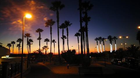 Photo 3 of Single-family semi-detached to rent in Palm - Mar, Arona