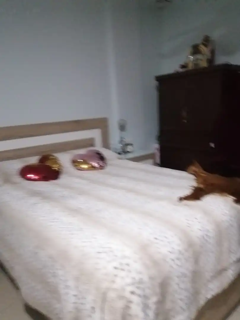 Habitación de Piso en venta en San Fernando