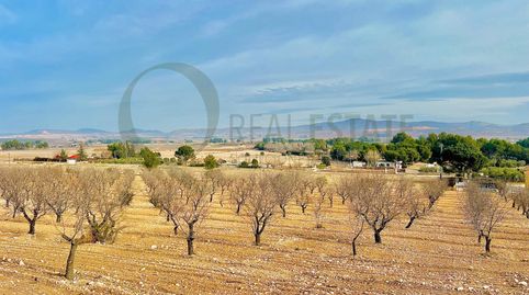 Foto 3 de Residencial en venta en Las Virtudes, Villena