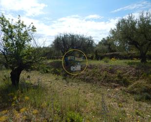 Land for sale in Bélgida