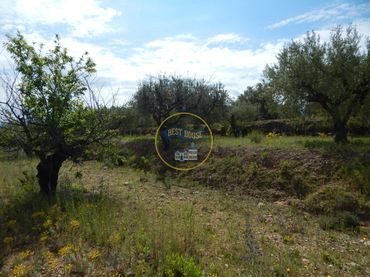 Terreno rustico in vendita a Bélgida