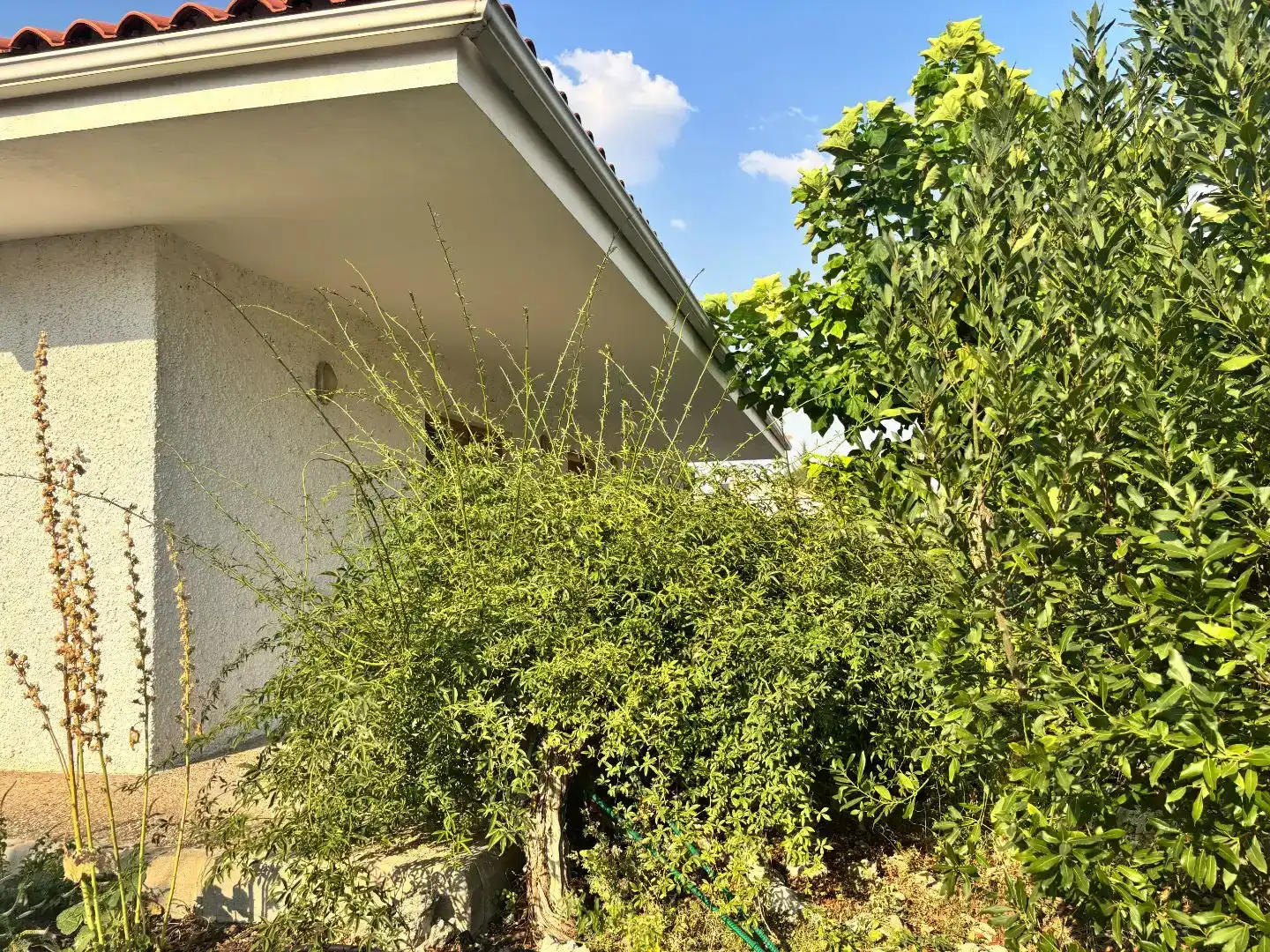 Jardín de Casa o chalet en venta en Mojados con Piscina