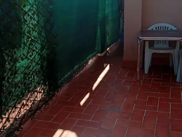 Penthouse for sale in marti pujol 540, imagen 34