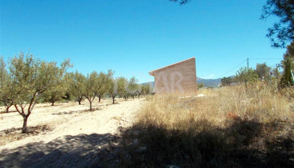 Foto 1 de Terreny en venda a Castalla, Alicante