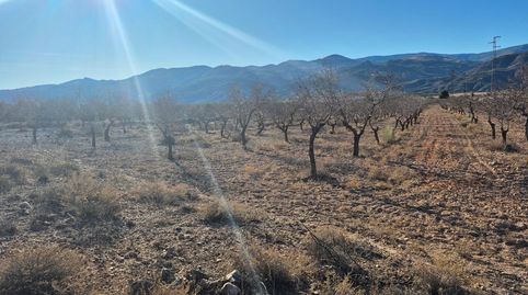 Se vende finca en Serón (Almería)., immagine 2