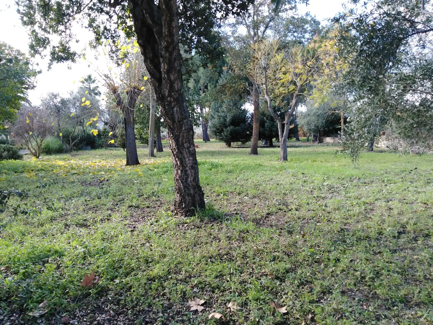 Casa rústica amb piscina en venda a Partidas Norte, imagen 6