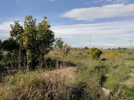 Terreny rústic en venda a Huerto Naranjos, imagen 3