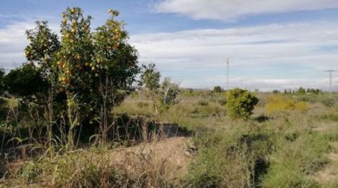 Foto 3 de Terreno en venta en Huerto Naranjos, Javalí Nuevo, Murcia Capital