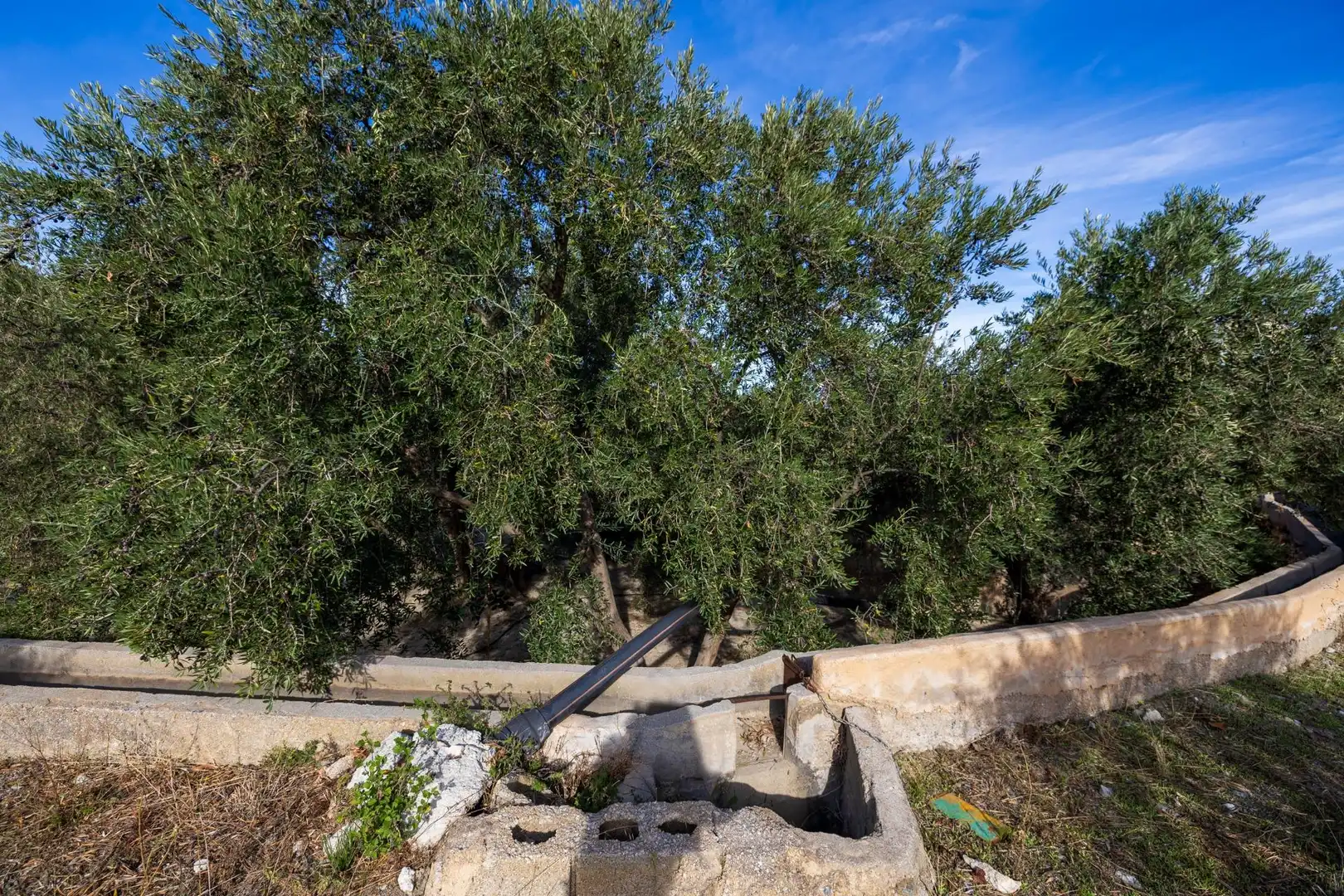Terreni e lotti in vendita a Lecrín, imagen 9