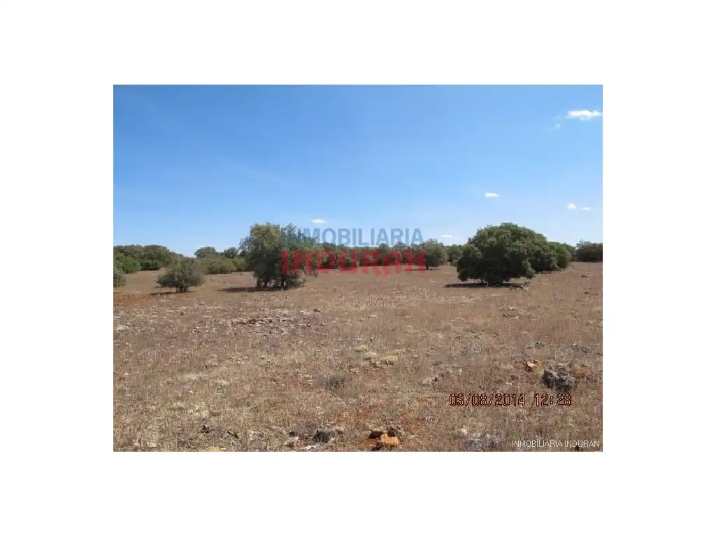 Finca rústica en venda en Almedina