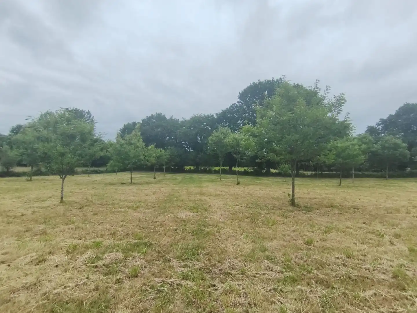 Residential for sale in Curtis