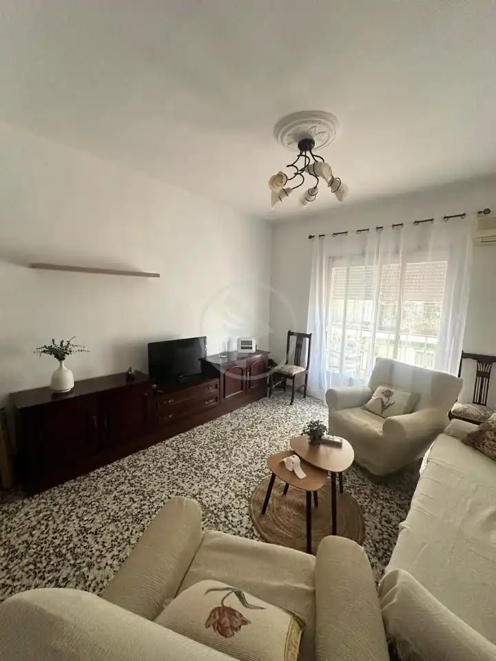 Living room of Flat for rent in Linares  with Air Conditioner, Terrace and Furnished