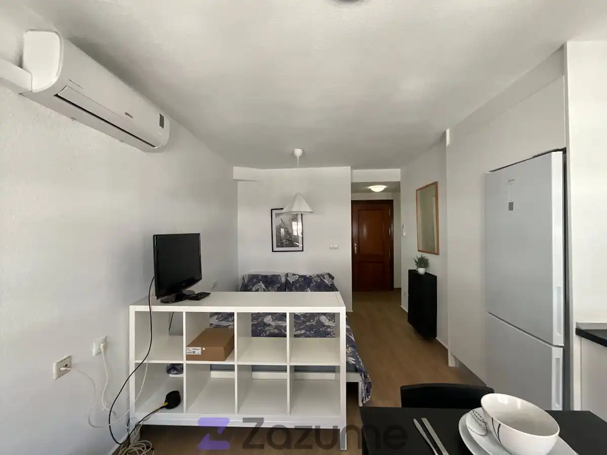 Sala d'estar de Estudi de lloguer en Torrevieja amb Aire condicionat, Calefacció i Parquet