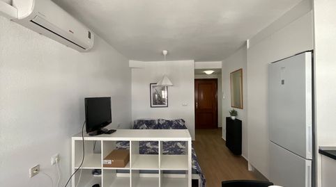 Photo 3 of Study for rent in C. Almudena, Avenida Habaneras - Curva de Palangre, Torrevieja