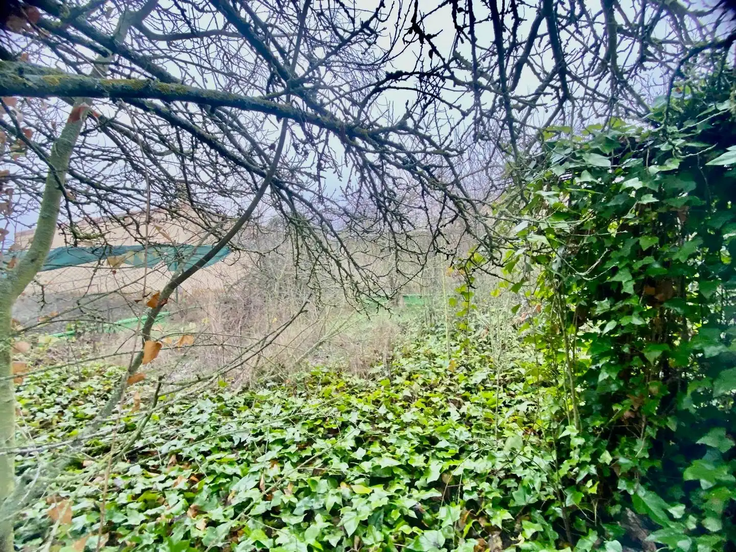 Finca rústica en venta en Soto de la Vega con Calefacción, Jardín privado y Parquet