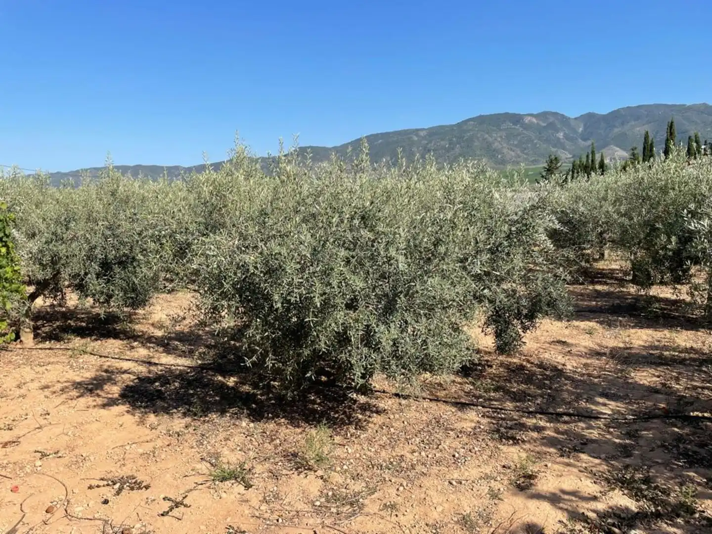 Houses for sale in Librilla  with Heating, Private garden and Terrace