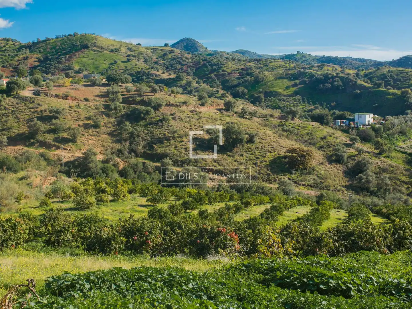 Casa o xalet en venda en Málaga amb Aire condicionat, Calefacció i Jardí privat