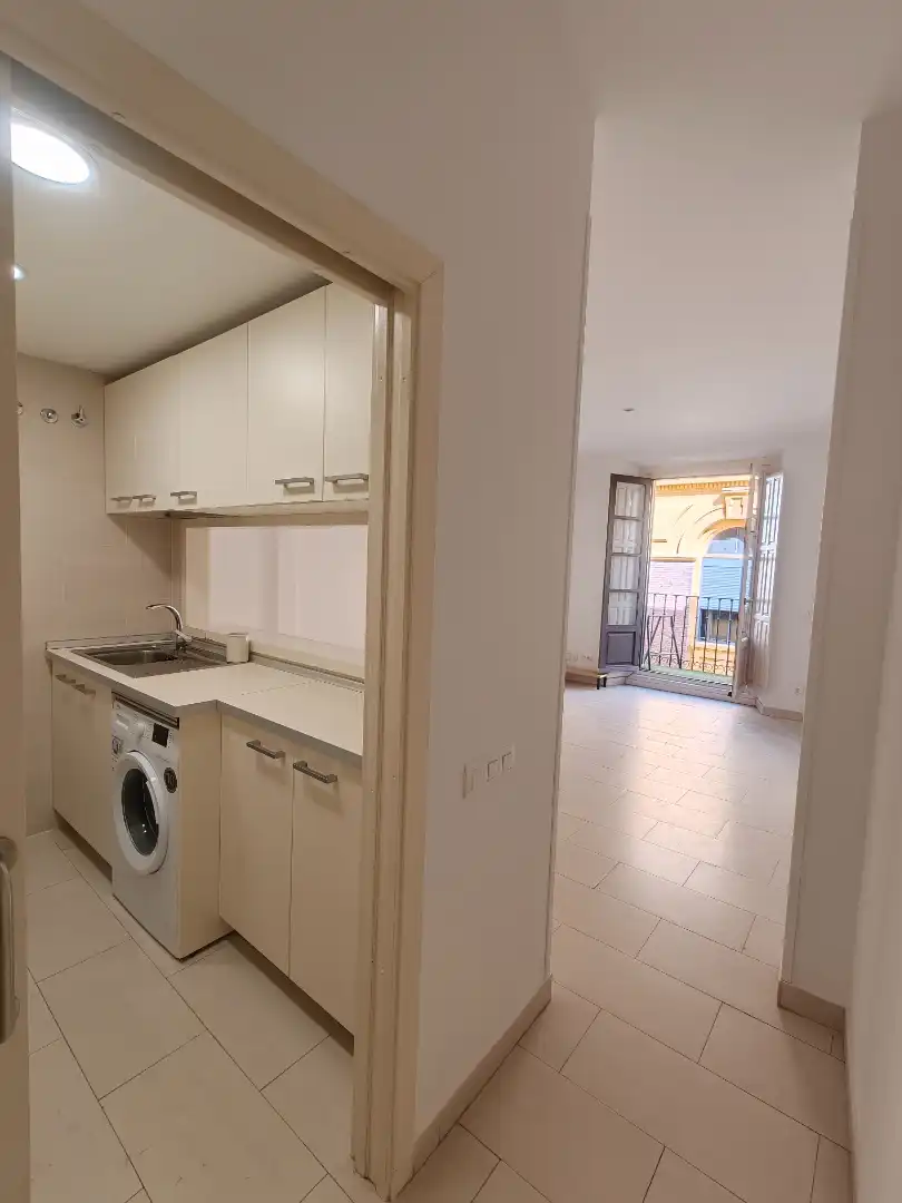 Wohnung zur Miete in Plaza de Cascorro, 3, Embajadores - Lavapiés