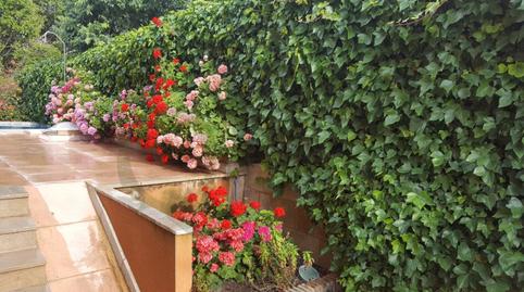 Photo 5 of Houses for rent in Alicante Golf, Alicante / Alacant