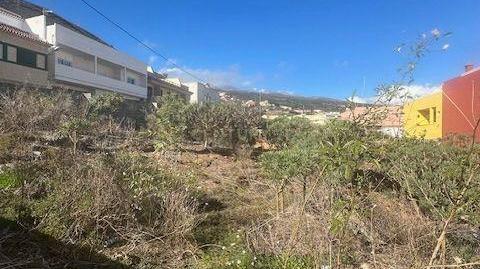 Foto 5 de Casa o chalet en venta en San Antonio, 14, Granadilla de Abona ciudad, Santa Cruz de Tenerife