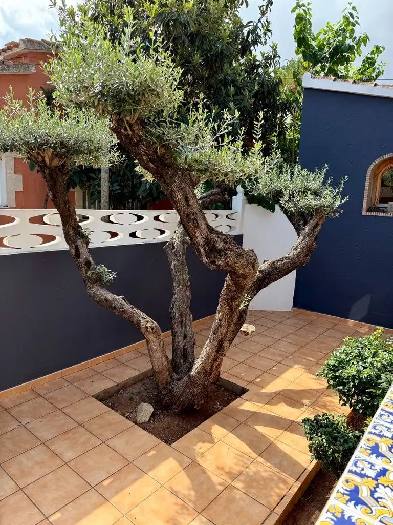Casa amb piscina en venda a Las Marinas / Les Marines, imagen 22