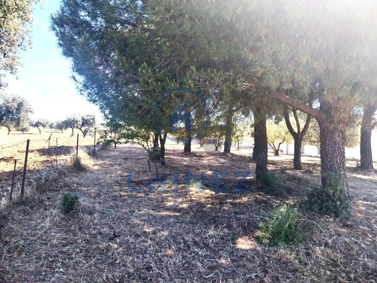 Rural land for sale in Fuente Obejuna, imagen 39