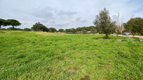 Situada en el corazón del campo de golf de Peralada, esta amplia parcela de 3.226 m es ideal para crear una espaciosa residencia., image 5