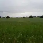 Rural land for sale in Topas, imagen 25