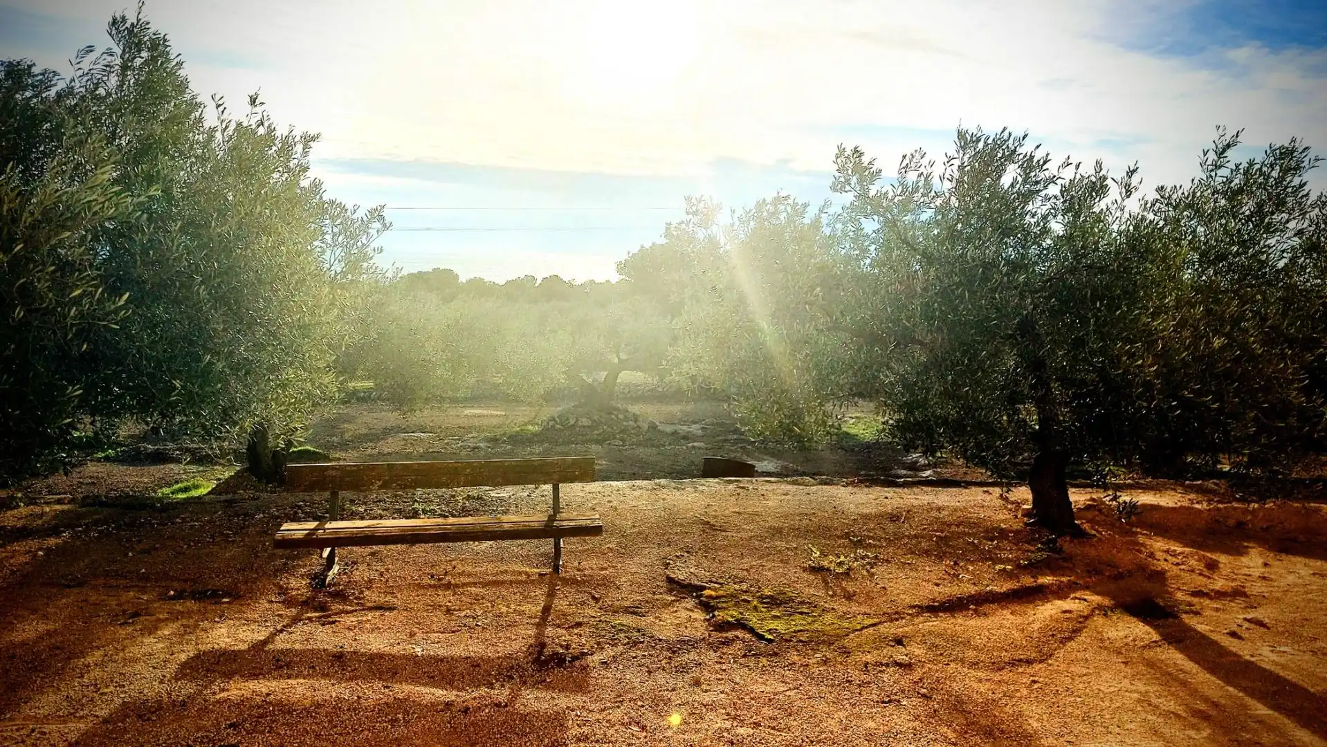 Jardí de Finca rústica en venda en L'Ametlla de Mar  amb Jardí privat, Terrassa i Moblat