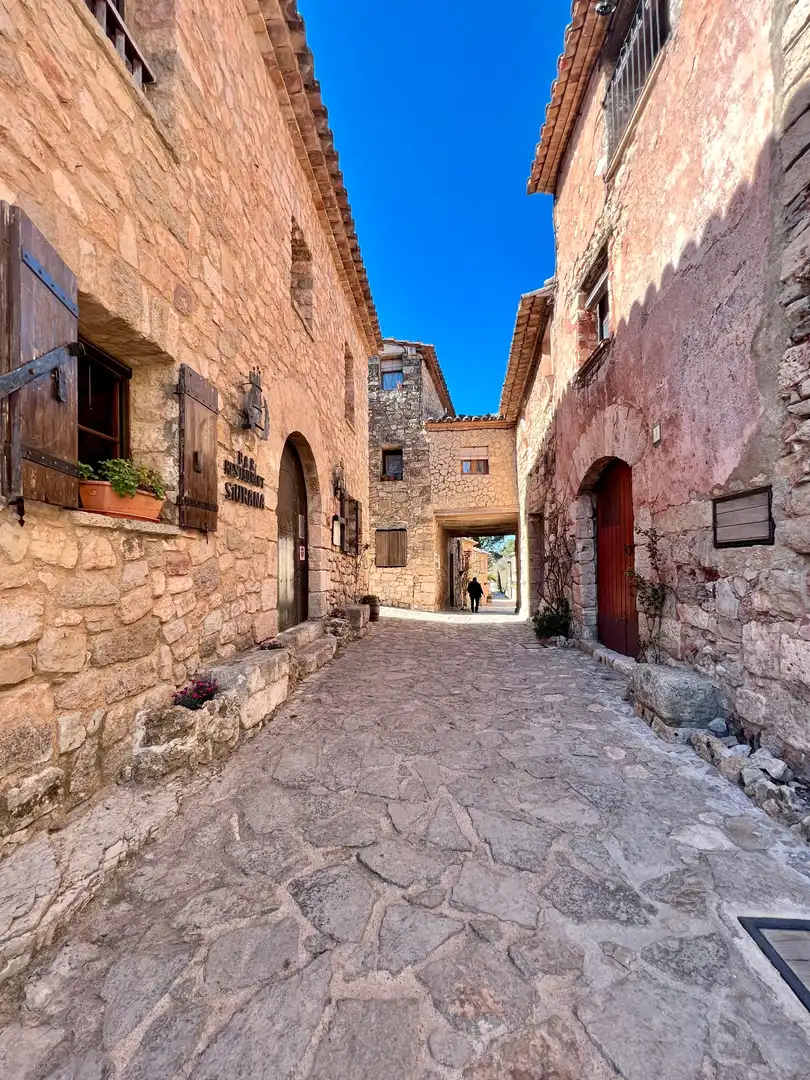 Exterior view of Country homes for sale in Cornudella de Montsant  with Air Conditioner, Oven and Washing machine