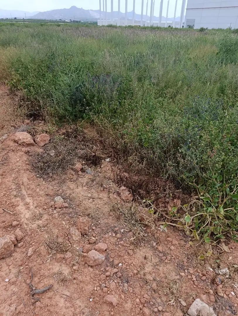 Industrial land for sale in Fortuna