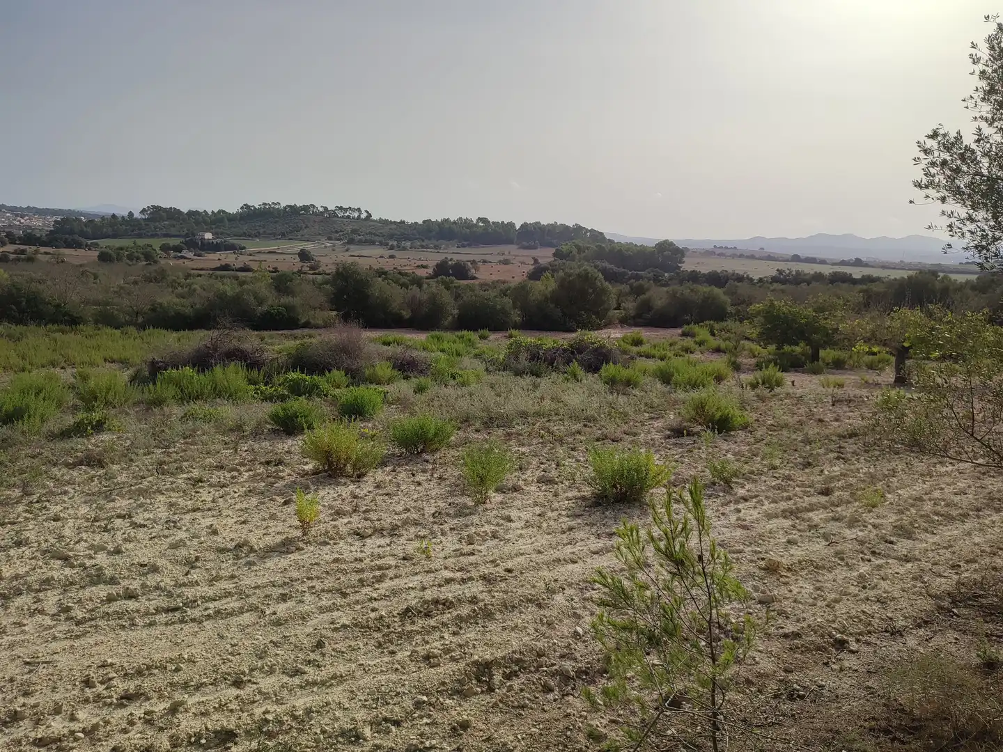 Terreny residencial en venda a Sant Joan, imagen 2