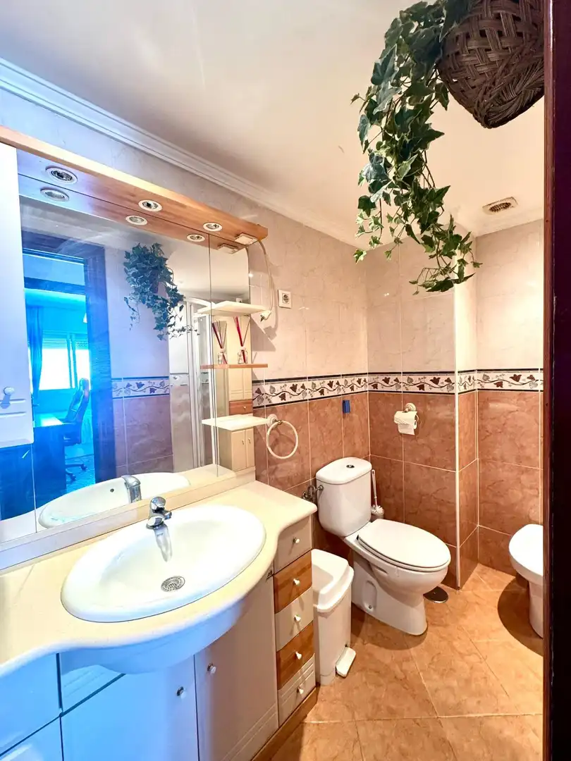 Bathroom of Flat for sale in Málaga