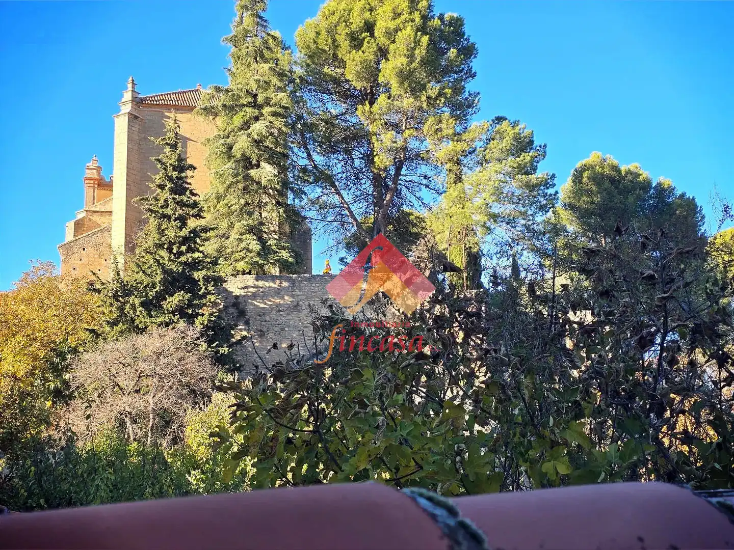 Jardín de Residencial en venta en Ronda