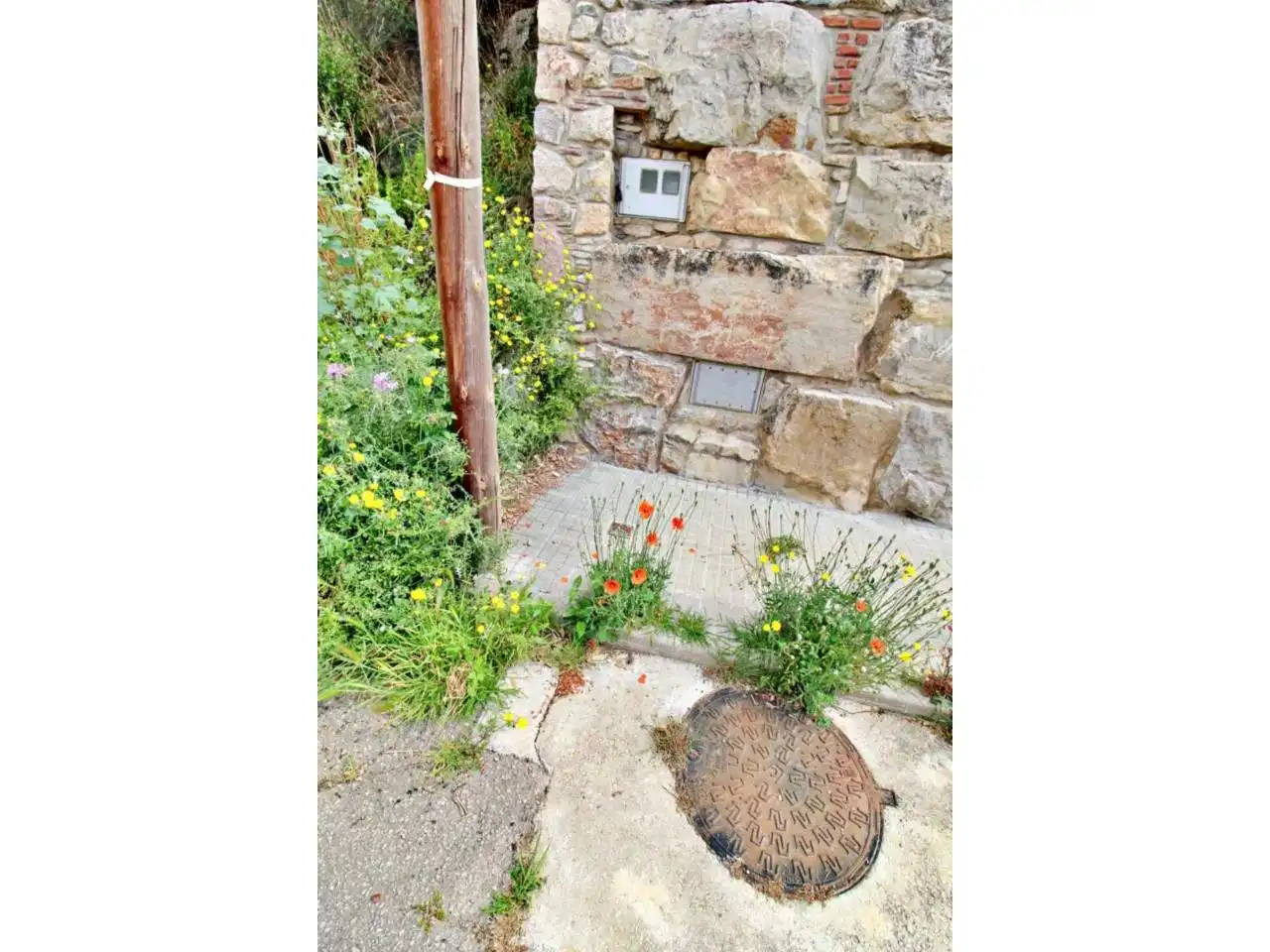 Rural land for sale in Calle Llosa, imagen 17