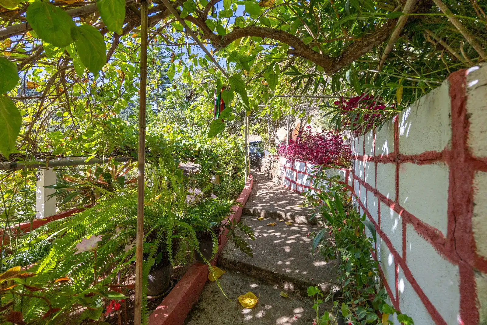 Casa rústica amb jardí en venda a Montaña Alta, imagen 49