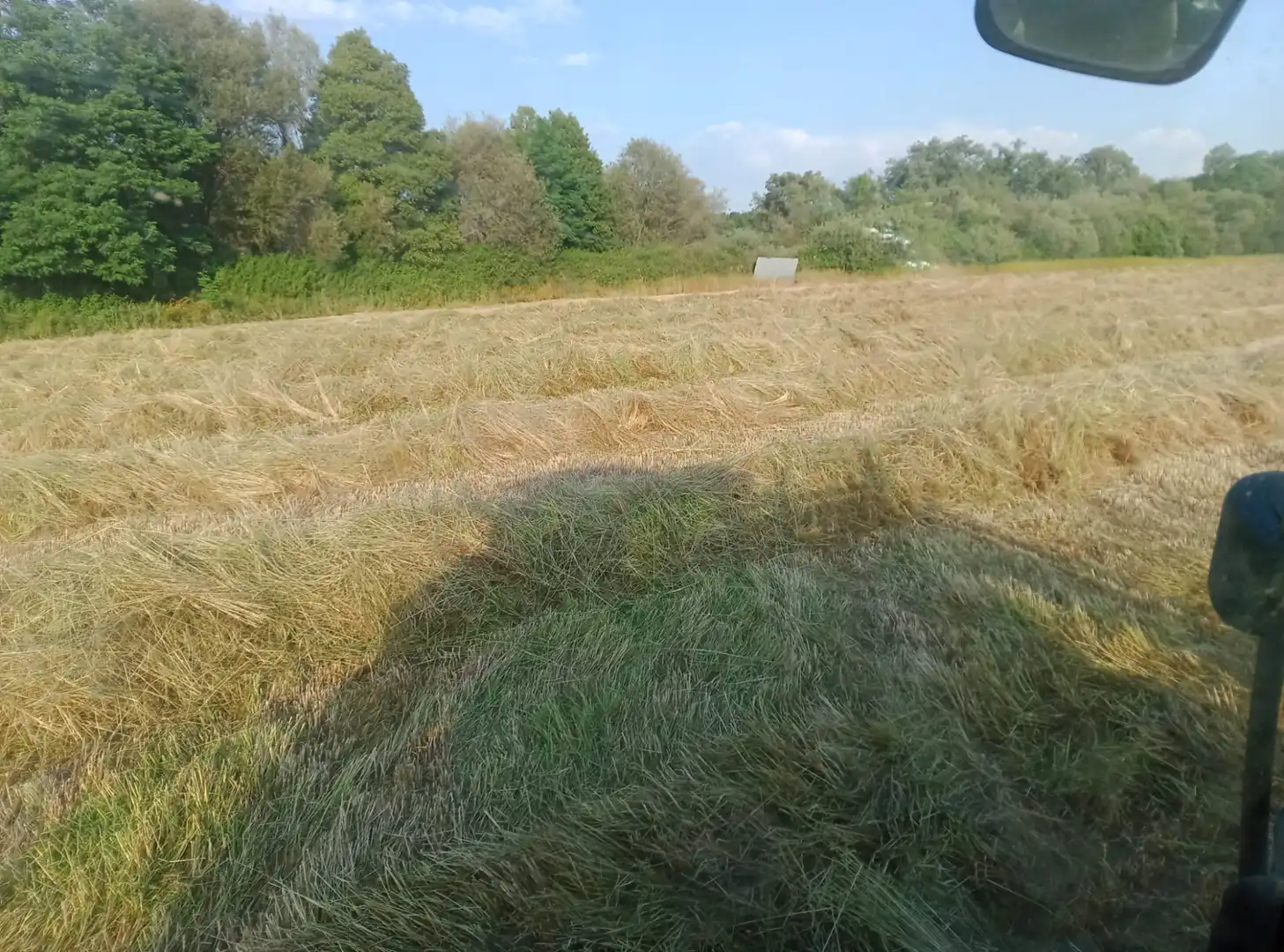 Terreni e lotti in vendita a Paraje Dehesa el Gamo 2, imagen 15
