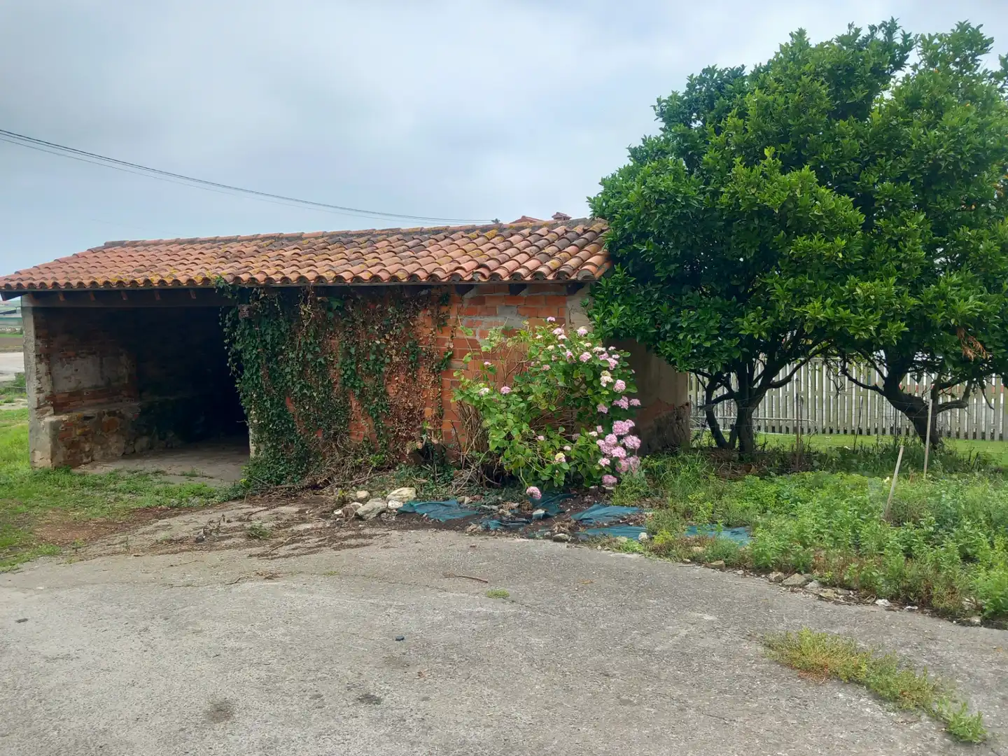 Vista exterior de Finca rústica en venta en Ribamontán al Mar