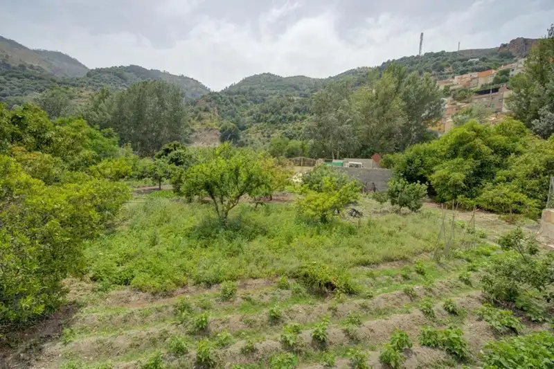 Terreno rustico in vendita a El Pinar, imagen 5