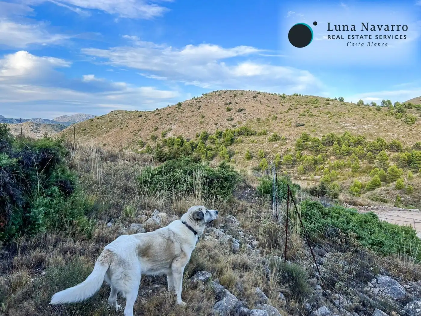 Terreno en venta en Calle San Antonio, 50, Confrides