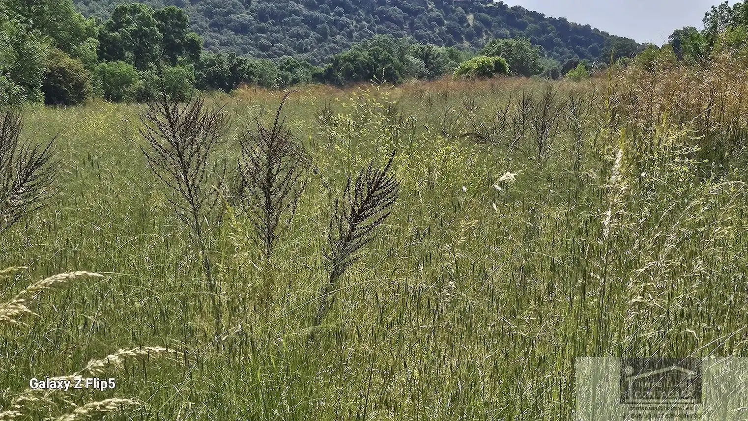 Finca rústica en venda en Miraflores de la Sierra