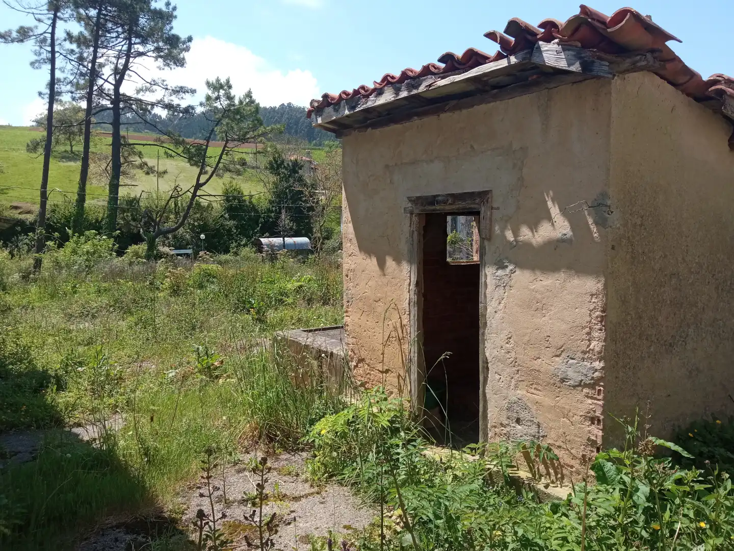 Vista exterior de Finca rústica en venta en Valdés - Luarca con Jardín privado, Terraza y Amueblado